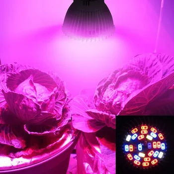 50pcs Visą Spektrą E14 LED Grow Light Lempa 28 SMD Led Grow Lempa už Hydroponics Gėlės, Augalai, Daržovės Auga Lauke