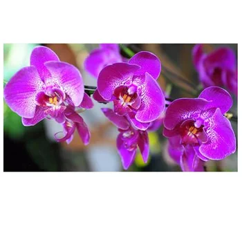 DIYdiamond tapybos orchidėja gėlė 5D Apvalus deimantas išsiuvinėti rhineston kryželiu rinkinys deimantų išsiuvinėti Vestuvių dekoras