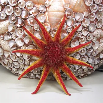 Natūrali raudona saulė, jūros žvaigždžių 11 Kampas super didelių vestuvių platforma, apdailos medžiagos