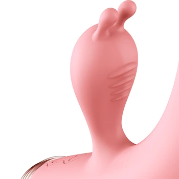Bodypro Naujų Moterims Vibratorius, 10 režimų G Spot Makšties Dlido Rabbit Vibratorius Moterų AV Lazdelė Suaugusiųjų Sekso žaislai