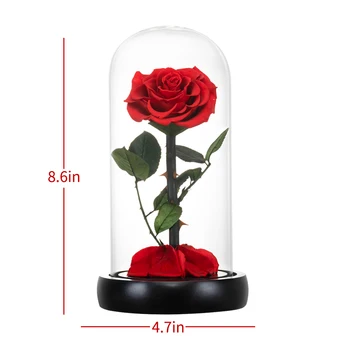 Eternal Rose Grožio ir Žvėrys Rose Amžina Dirbtinės Gėlės Naktį Šviesos, Stiklo Kupolu, Kalėdų, Valentino Vestuvių Dovana