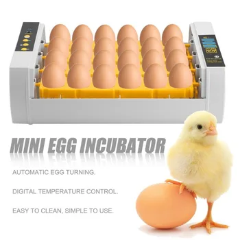 Didelės Talpos, Praktiška 24 Kiaušiniai Mini Inkubatorius Vištienos Naminių Putpelių Turkija Kiaušiniai Namuose Naudoti Automatinį Kiaušinių Tekinimo
