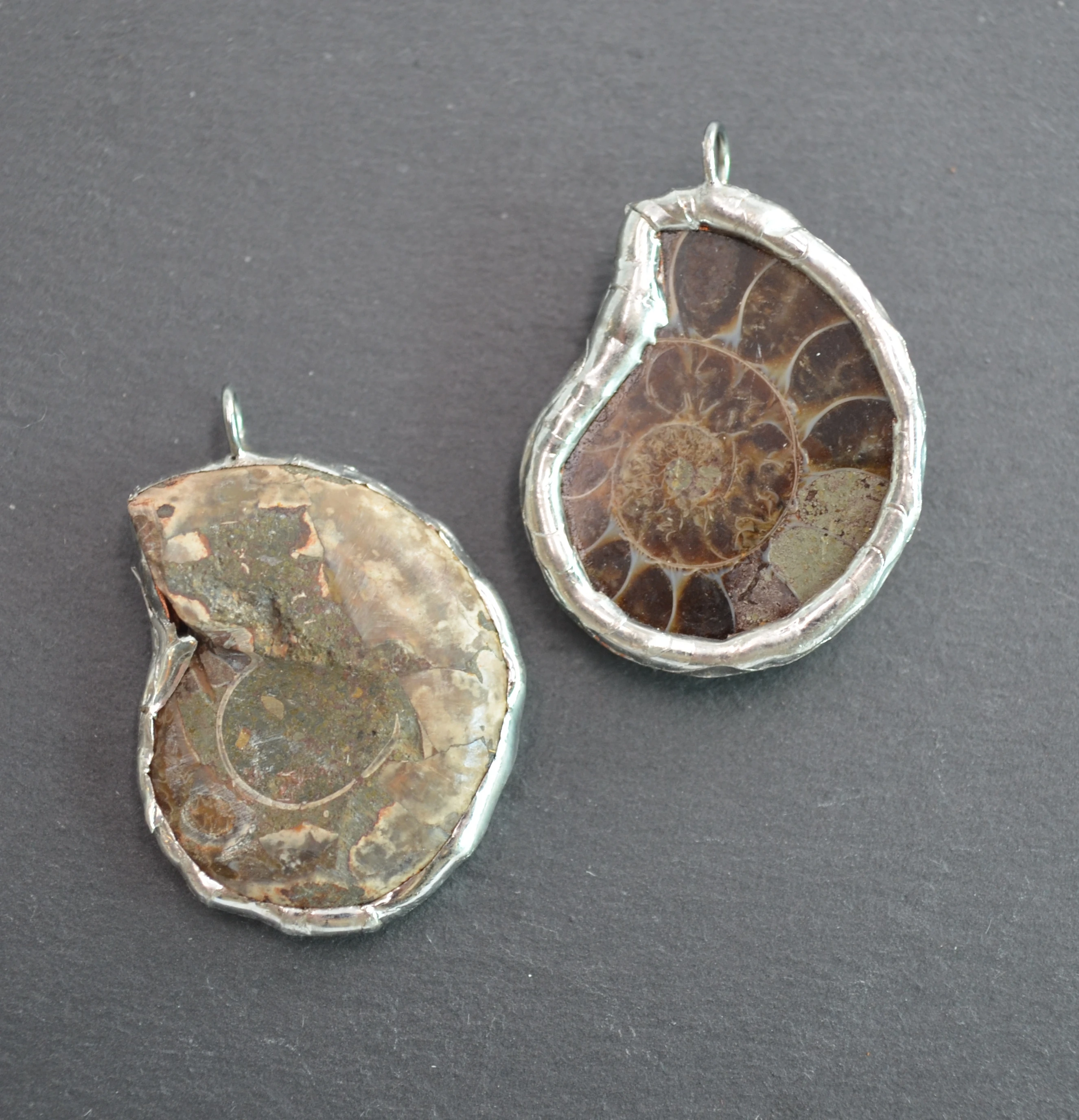 Retas Ammonite iškastinio pakabukas su sidabriniais electroplated kraštus