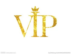 Specialių VIP Nuorodą Pritaikyti laidai paslaugos