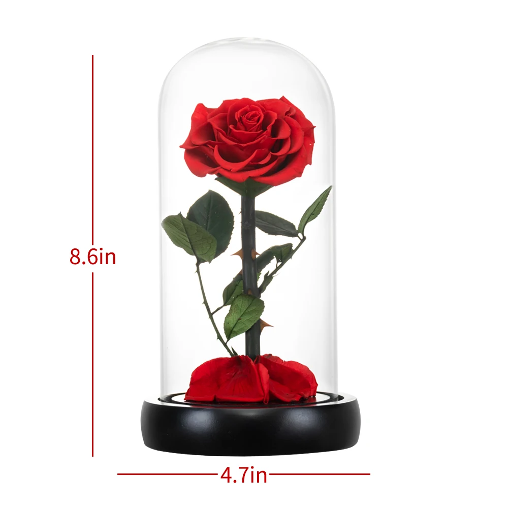 Eternal Rose Grožio ir Žvėrys Rose Amžina Dirbtinės Gėlės Naktį Šviesos, Stiklo Kupolu, Kalėdų, Valentino Vestuvių Dovana