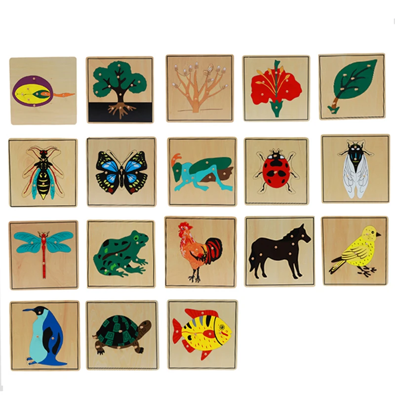 Montessori Botanika Gyvūnų, Vabzdžių Įspūdį žaislai