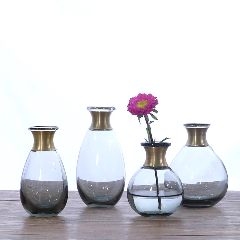 NAUJA Stiklo vaza Vario žiedas burną mažos vazos Sausų gėlių vaza Hydroponic Konteinerių vaza vestuvių namų puošybai