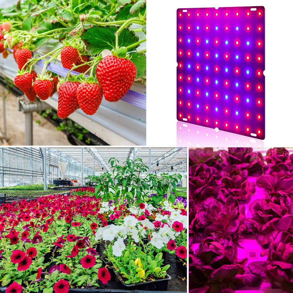 LEADLY LED Grow lempa 12W Quantum Plokštė Augti Šviesos sodindami Visą Spektrą Augalų Šviesos Sėklos, Gėlių Lempa Augalų Šviesos
