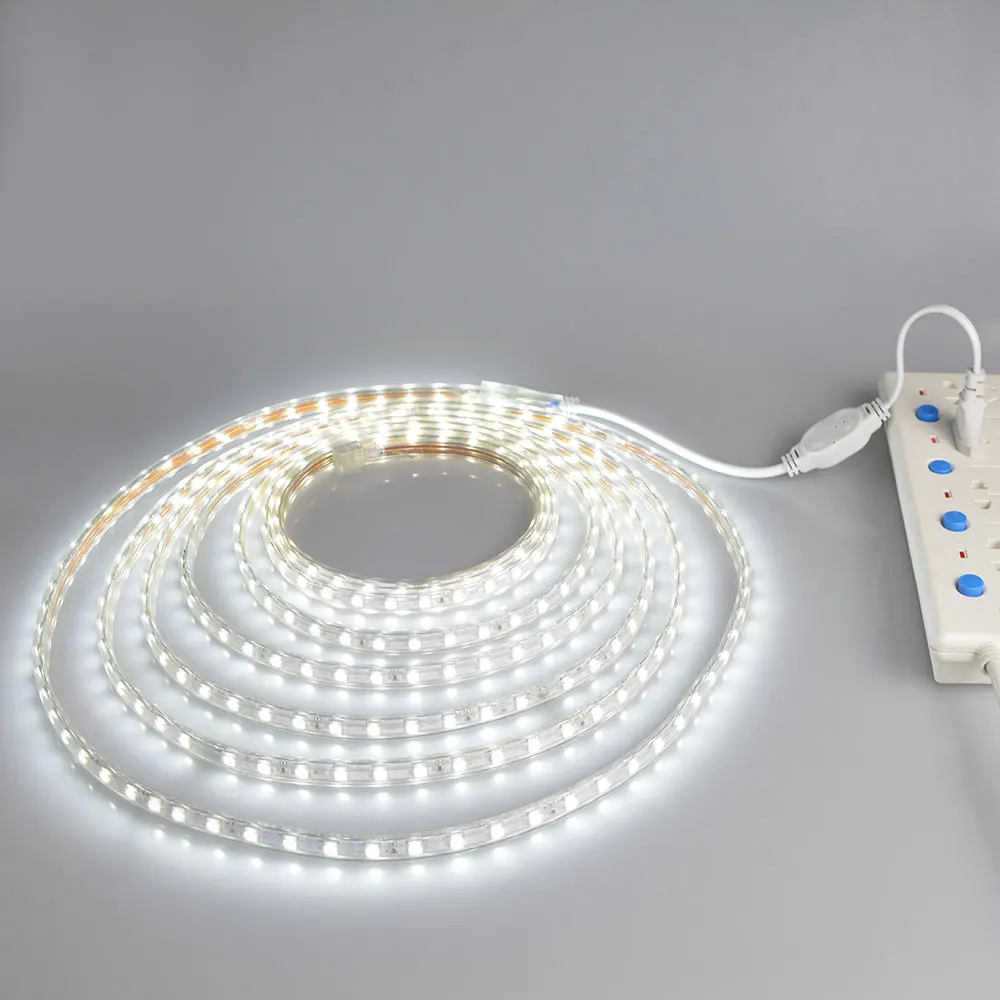Pritemdomi SMD 5050 LED Šviesos Juostelės 220V Vandeniui Diodų Juostos, LED Lanksčios Vielos Bande Juostelės Lempa, lauko, sodo apšvietimas ES Plug